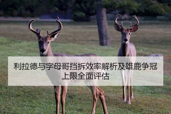 利拉德与字母哥挡拆效率解析及雄鹿争冠上限全面评估