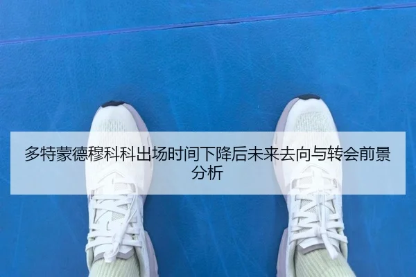 多特蒙德穆科科出场时间下降后未来去向与转会前景分析